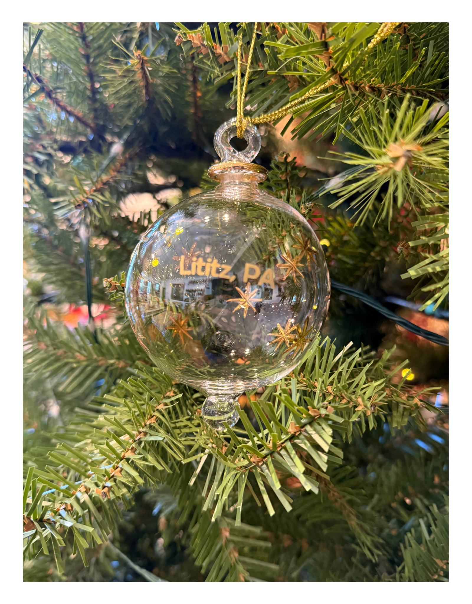 Dandarah Blown Glass Ornament - Gold Stars Lititz