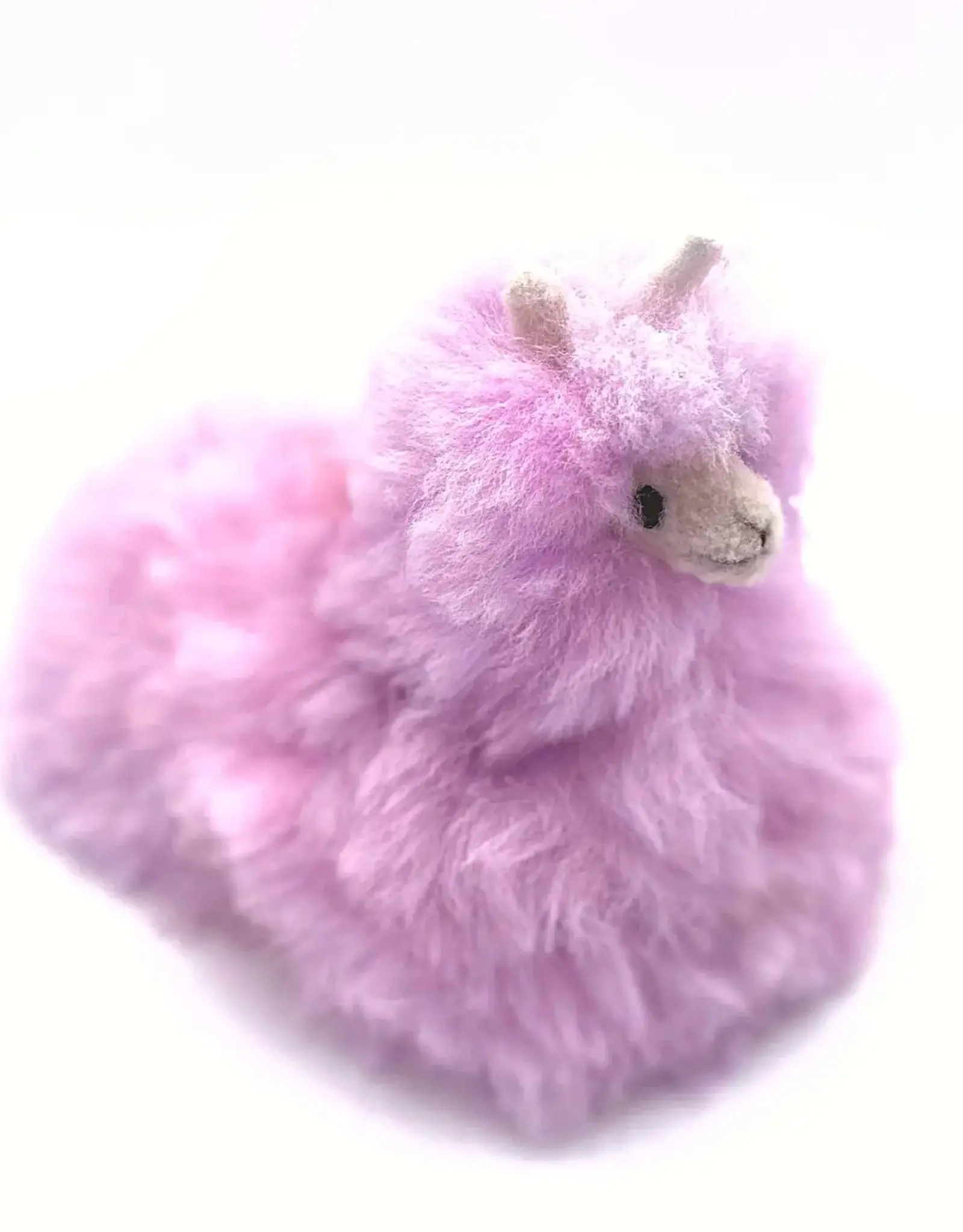 Blossom Inspirations Doorstop Llamacorn