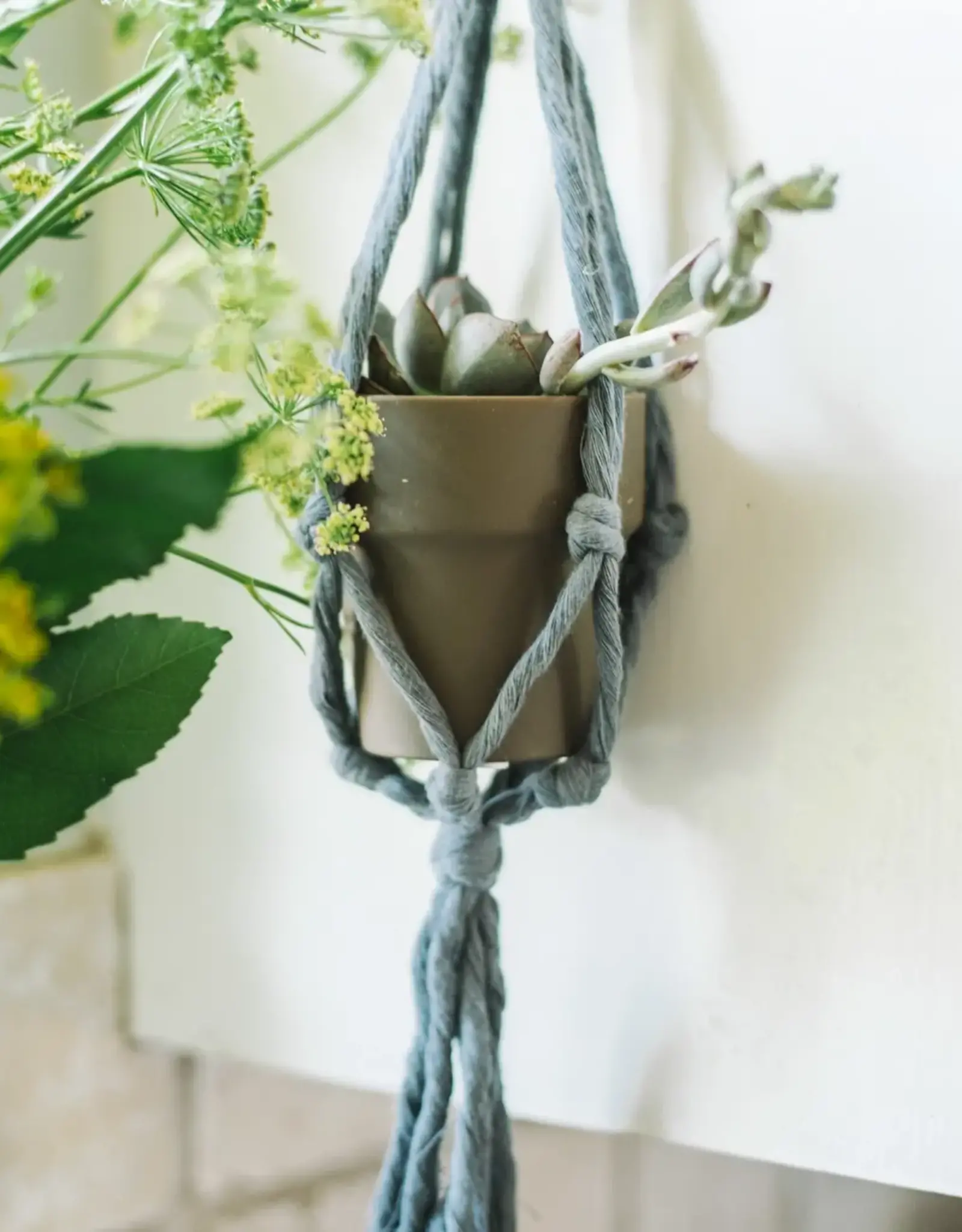 Starfish Project Mini Flourish Plant Hanger