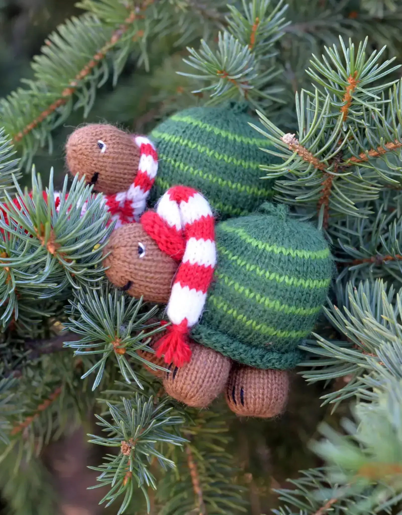 Melange Collection Holiday Turtle Ornament-Assorted