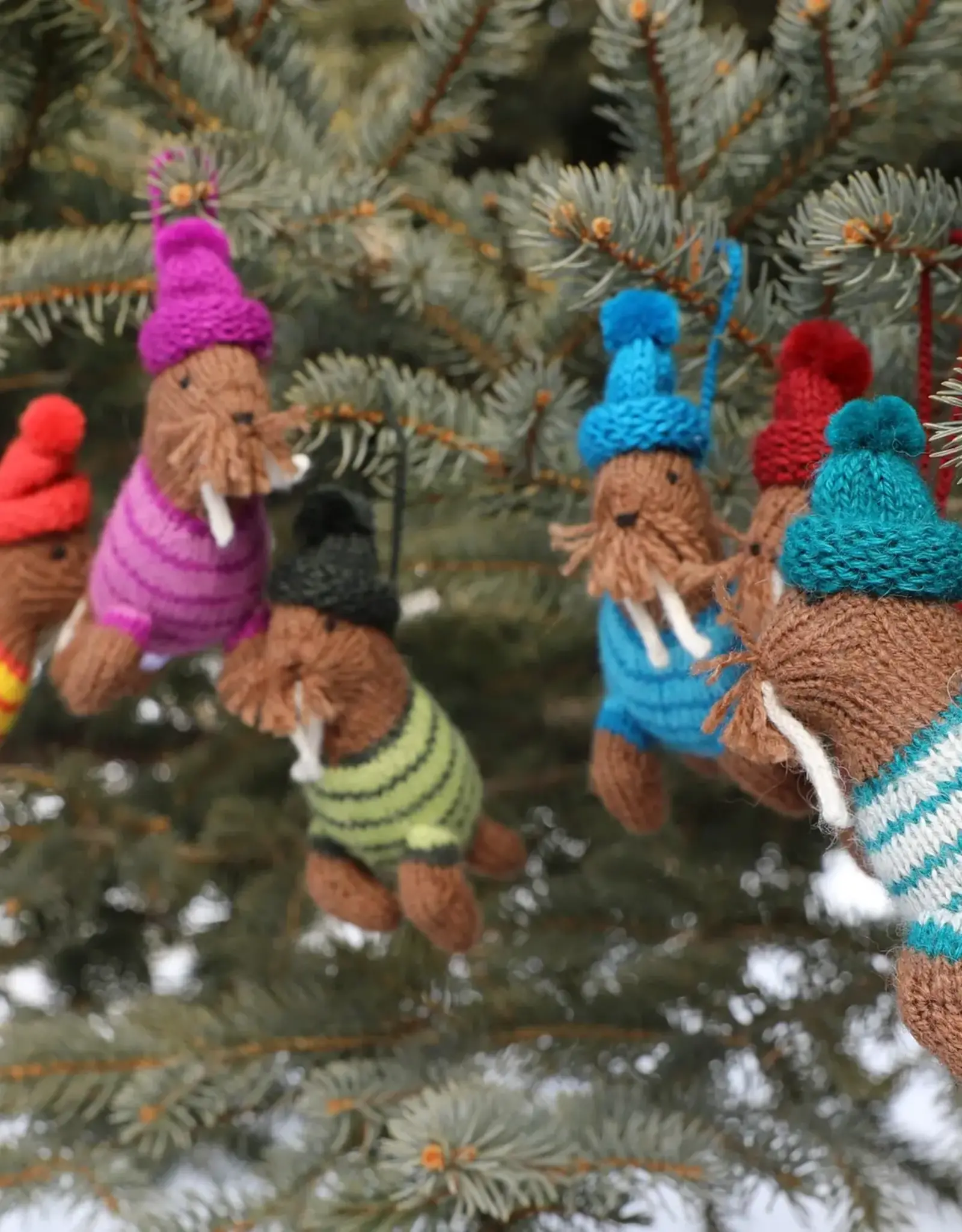 Melange Collection Holiday Walrus Ornament-Assorted