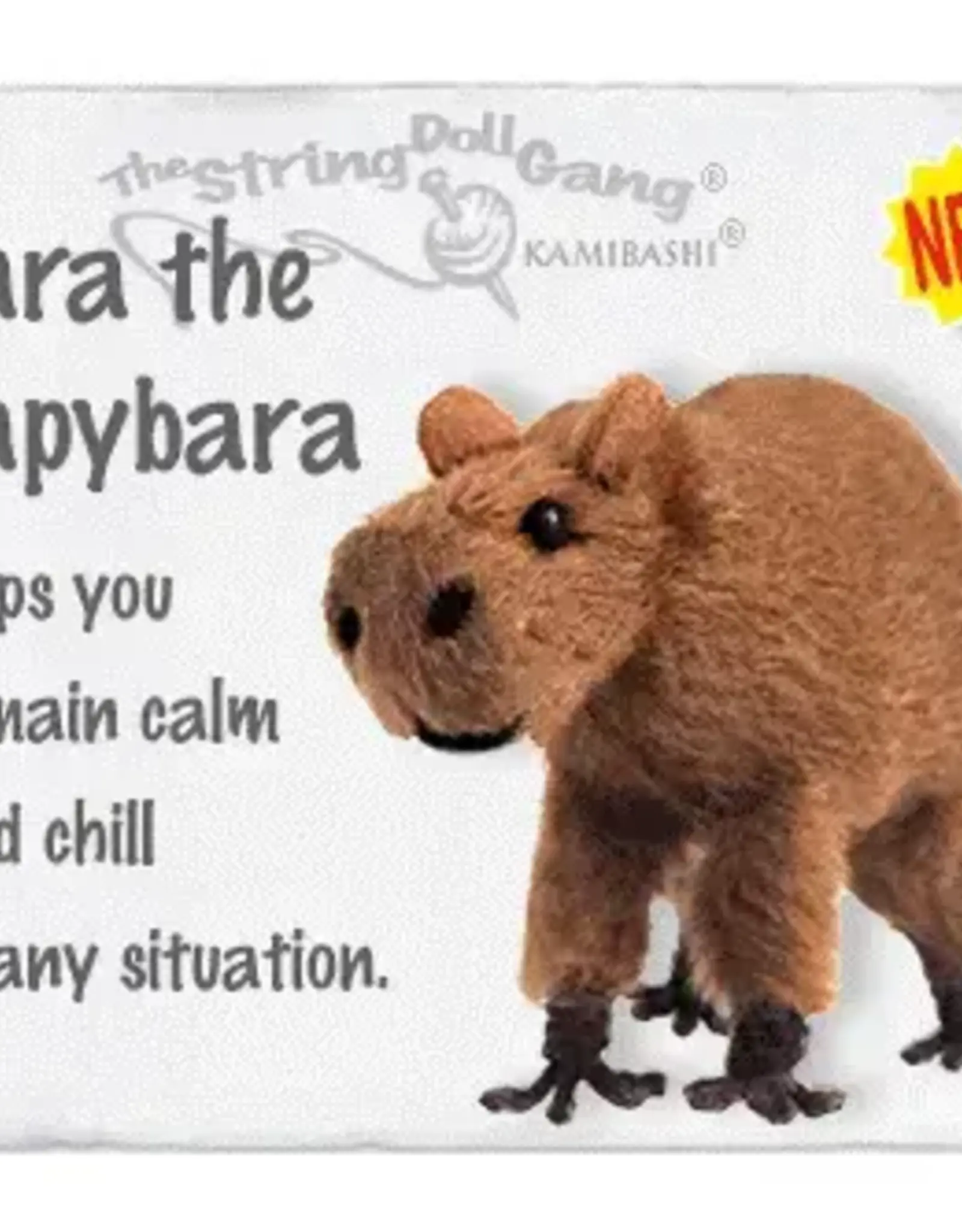 Kamibashi Cara the Capybara