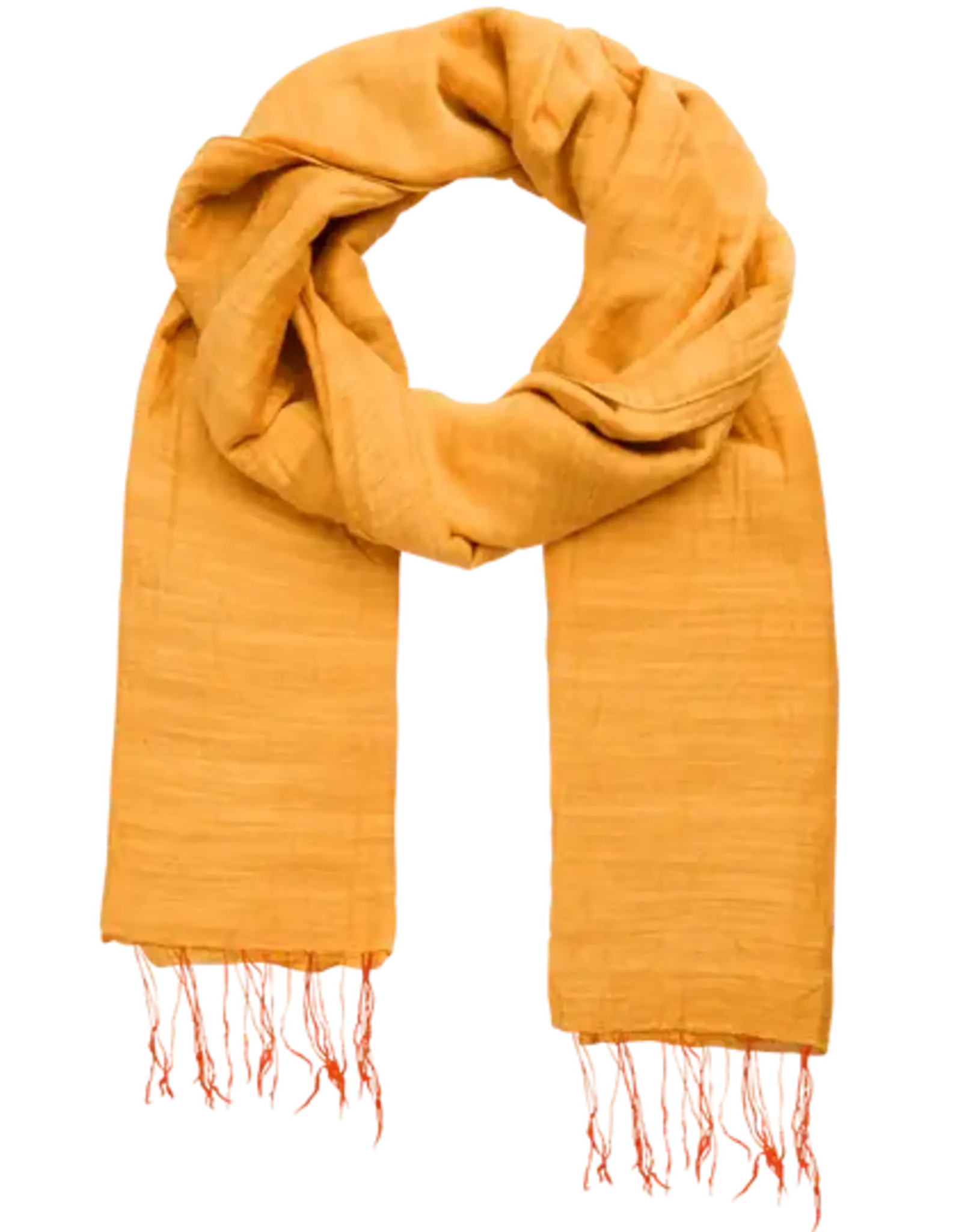 Marquet Turmeric Cotton and Silk Shawl