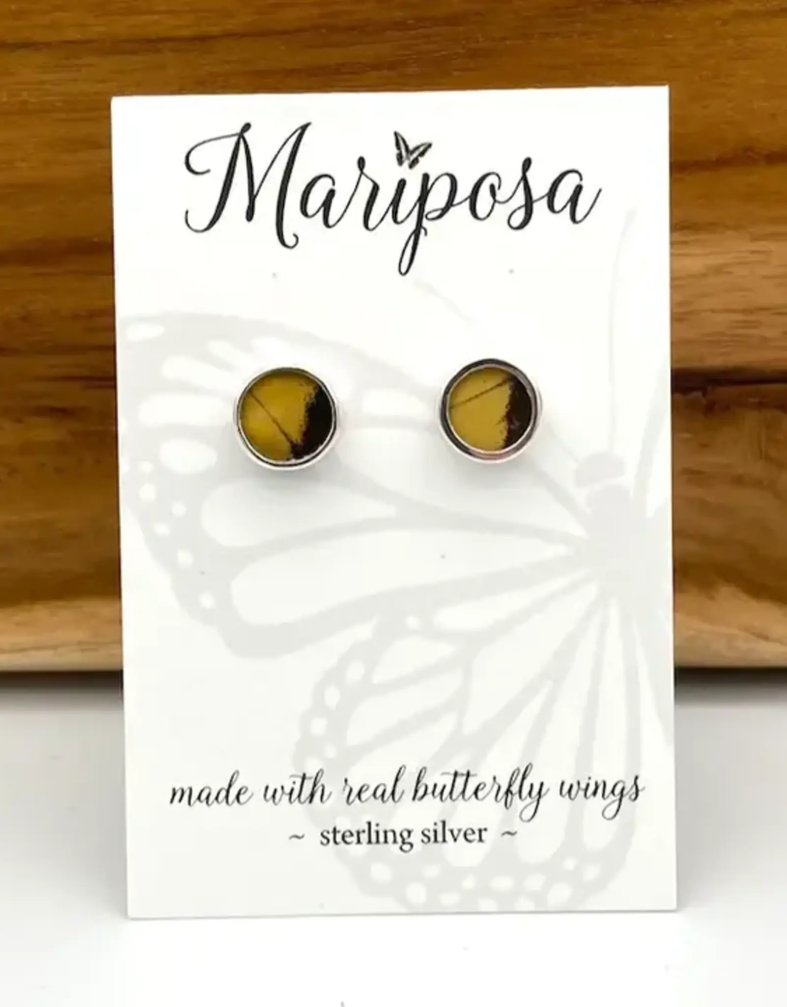 Women of the Cloud Forest King Swallowtail Butterfly Stud Earrings