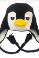 Arts of Ecuador Penguin Hat - Youth Size