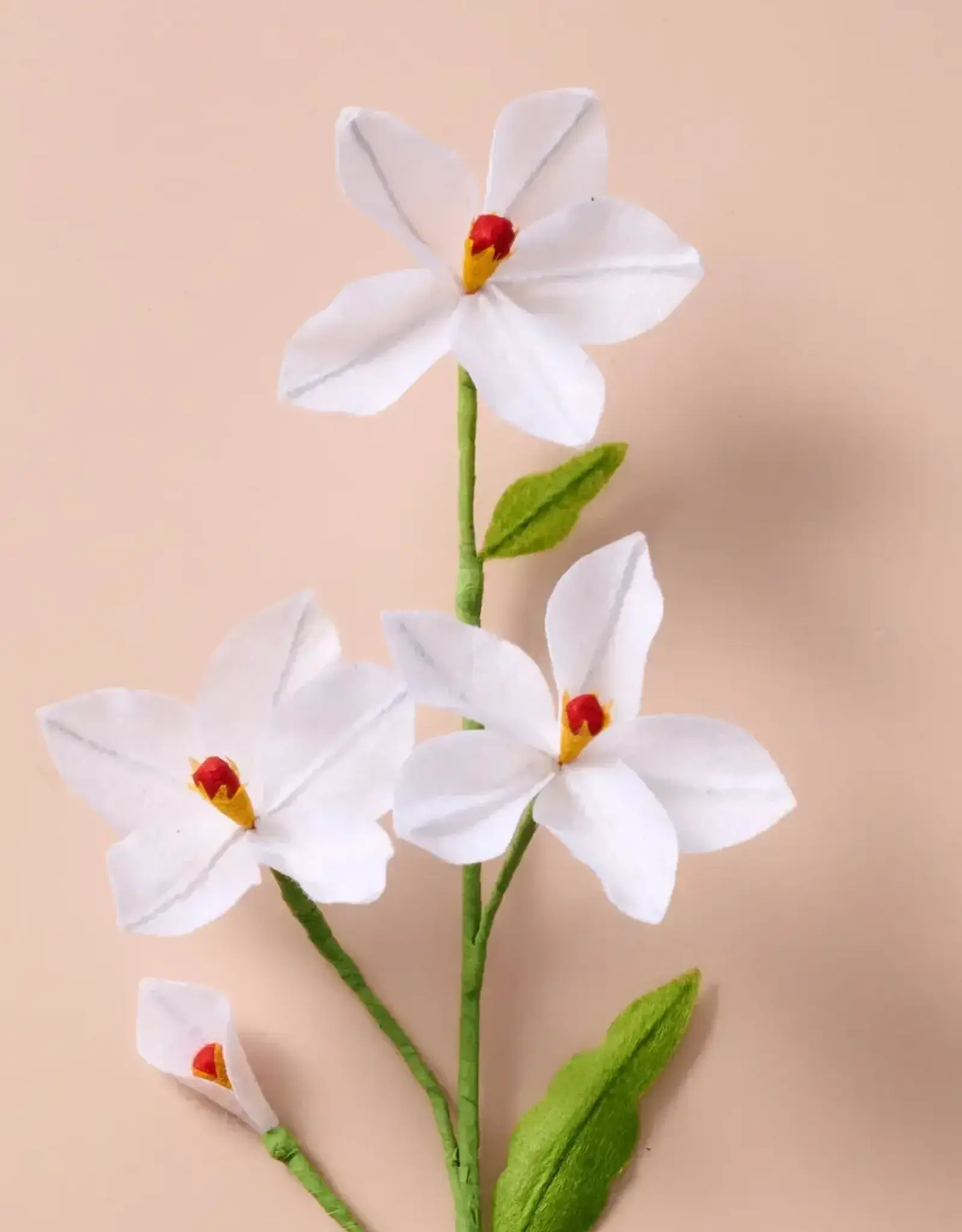 Ten Thousand Villages Silk Paper Flowers (Paperwhite)