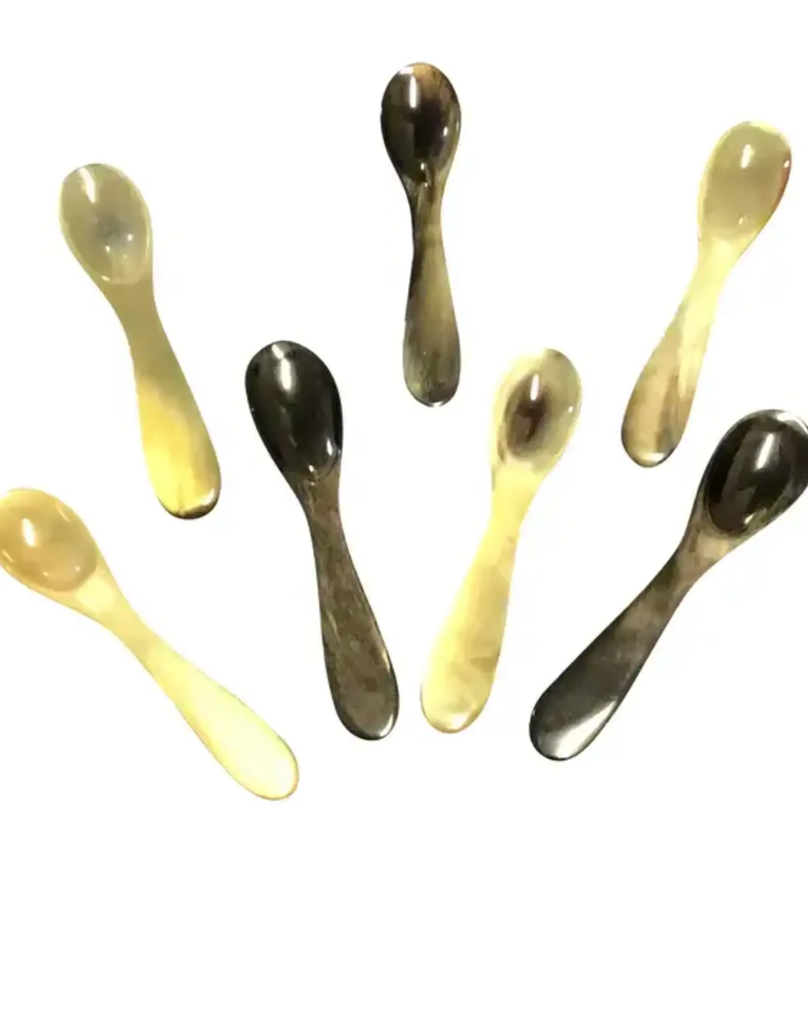 Harkiss Designs Salt & Spice Horn Spoon