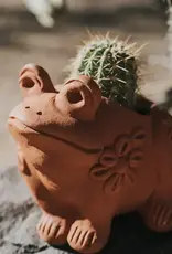 Matr Boomie Rakshana Frog Terracotta Planter Pot