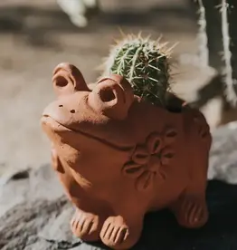 Matr Boomie Rakshana Frog Terracotta Planter Pot