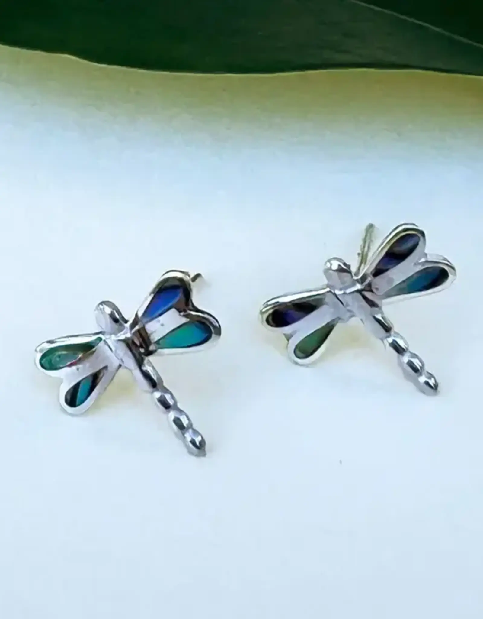 Women's Peace Collection Abalone Dragonfly Studs