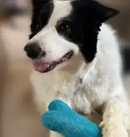 Ethical Global Small Wool Dog Bones (Assorted)