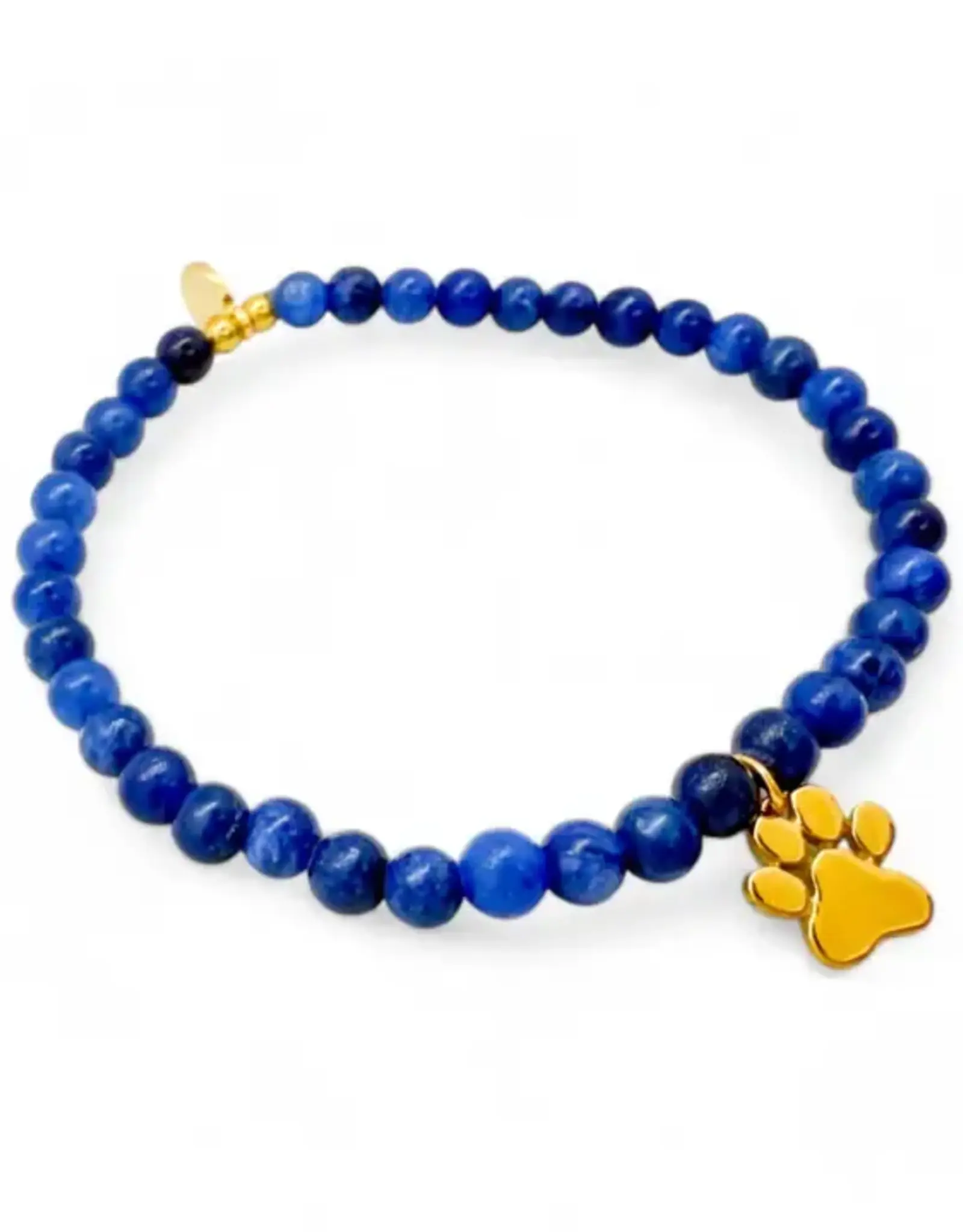 EthicGoods Mini Charm Bracelet: Paw Charm, Blue Quartz