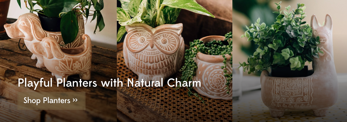 Terracotta Planters
