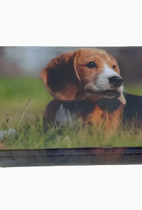 Hopes Unlimited Dog Printed Box