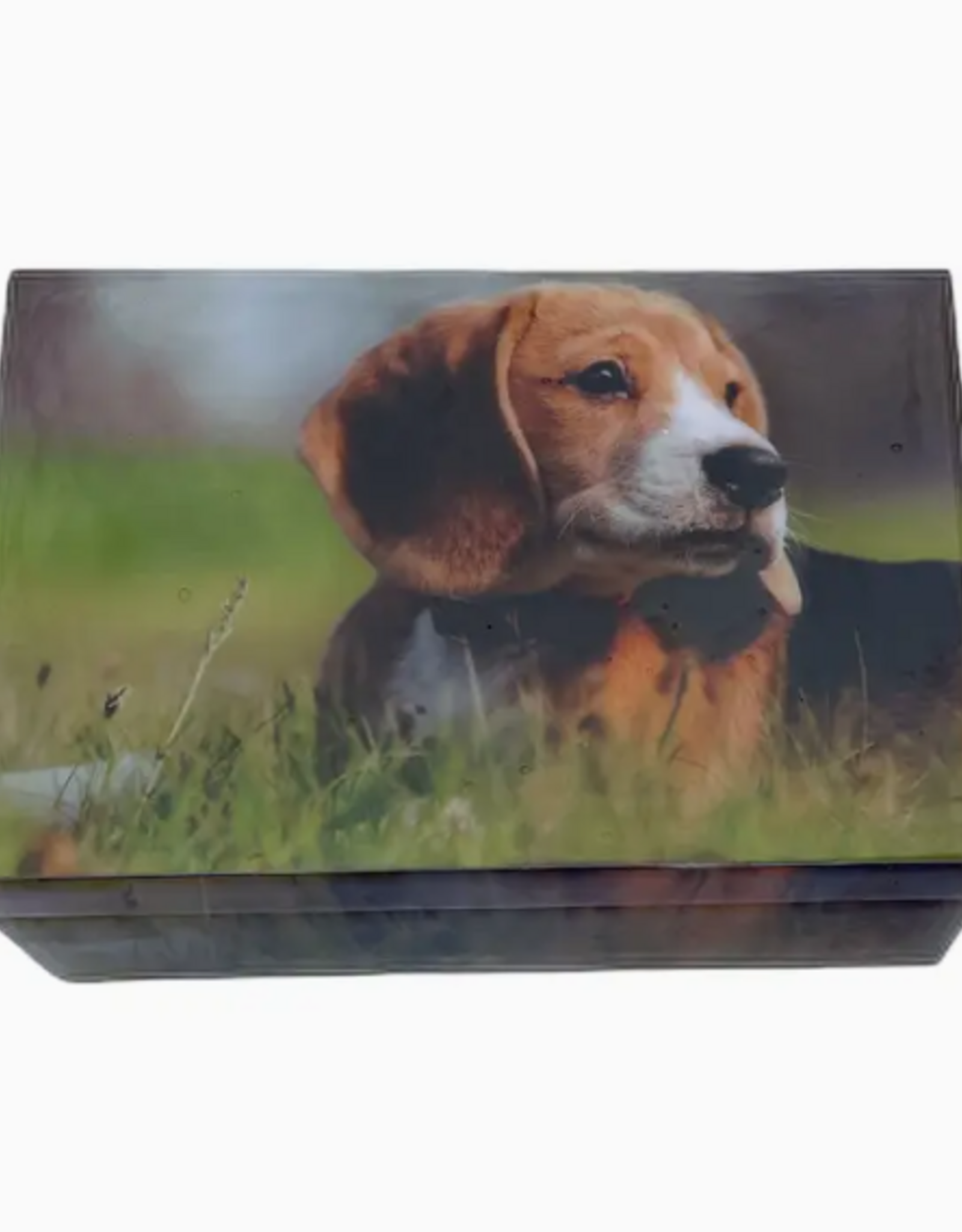 Hopes Unlimited Dog Printed Box