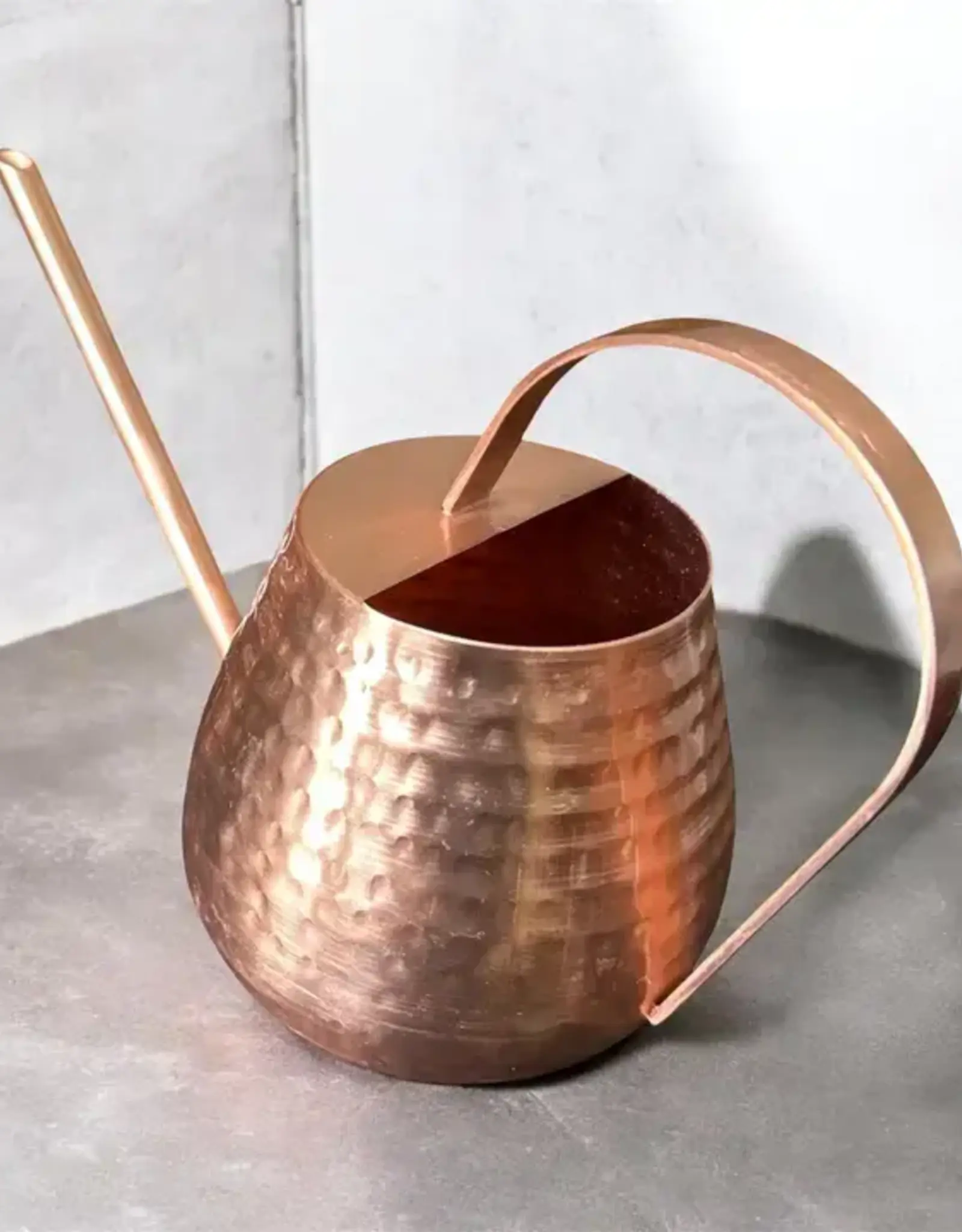 Hopes Unlimited Watering Can