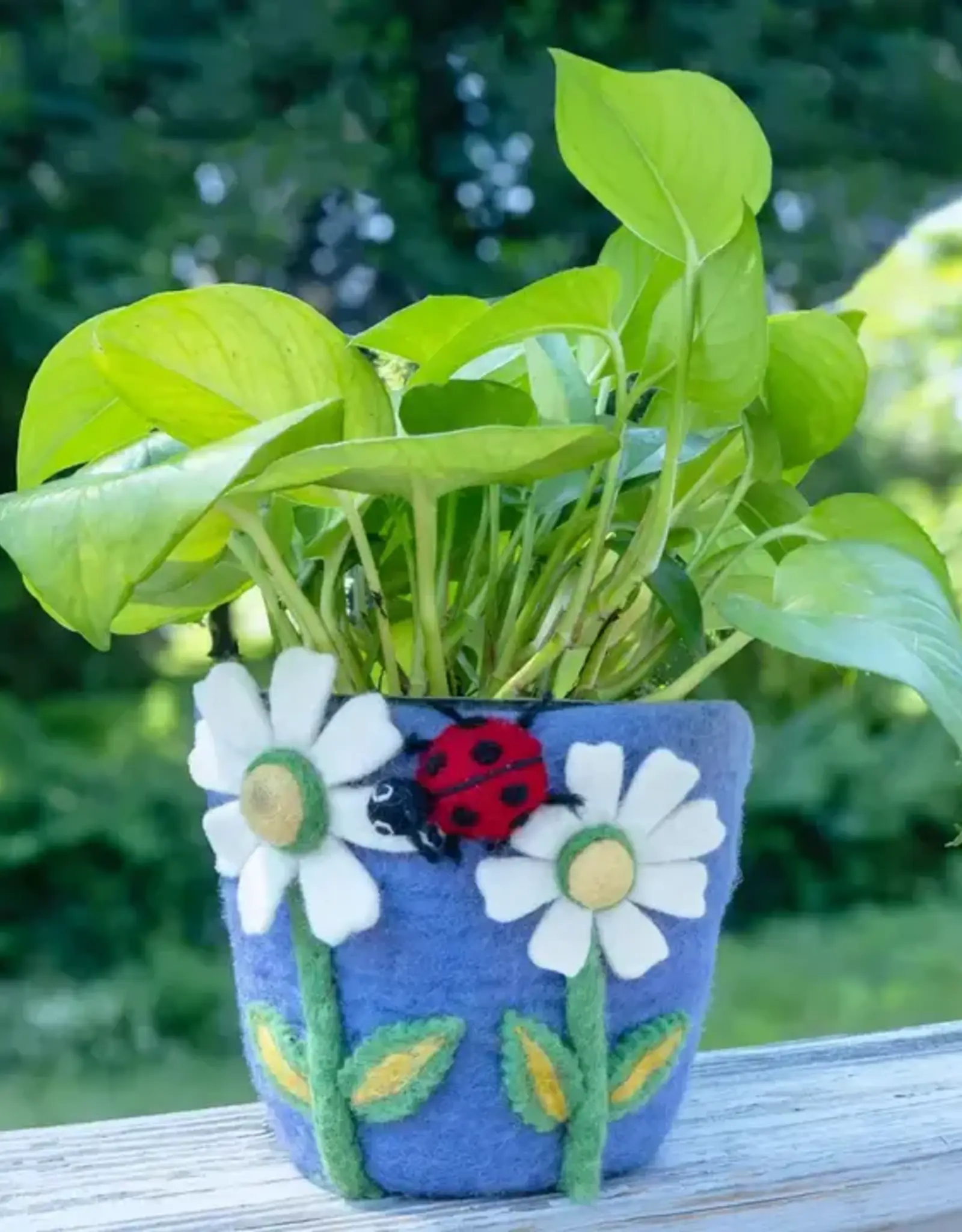 dZi Handmade Daisy Felt Pot