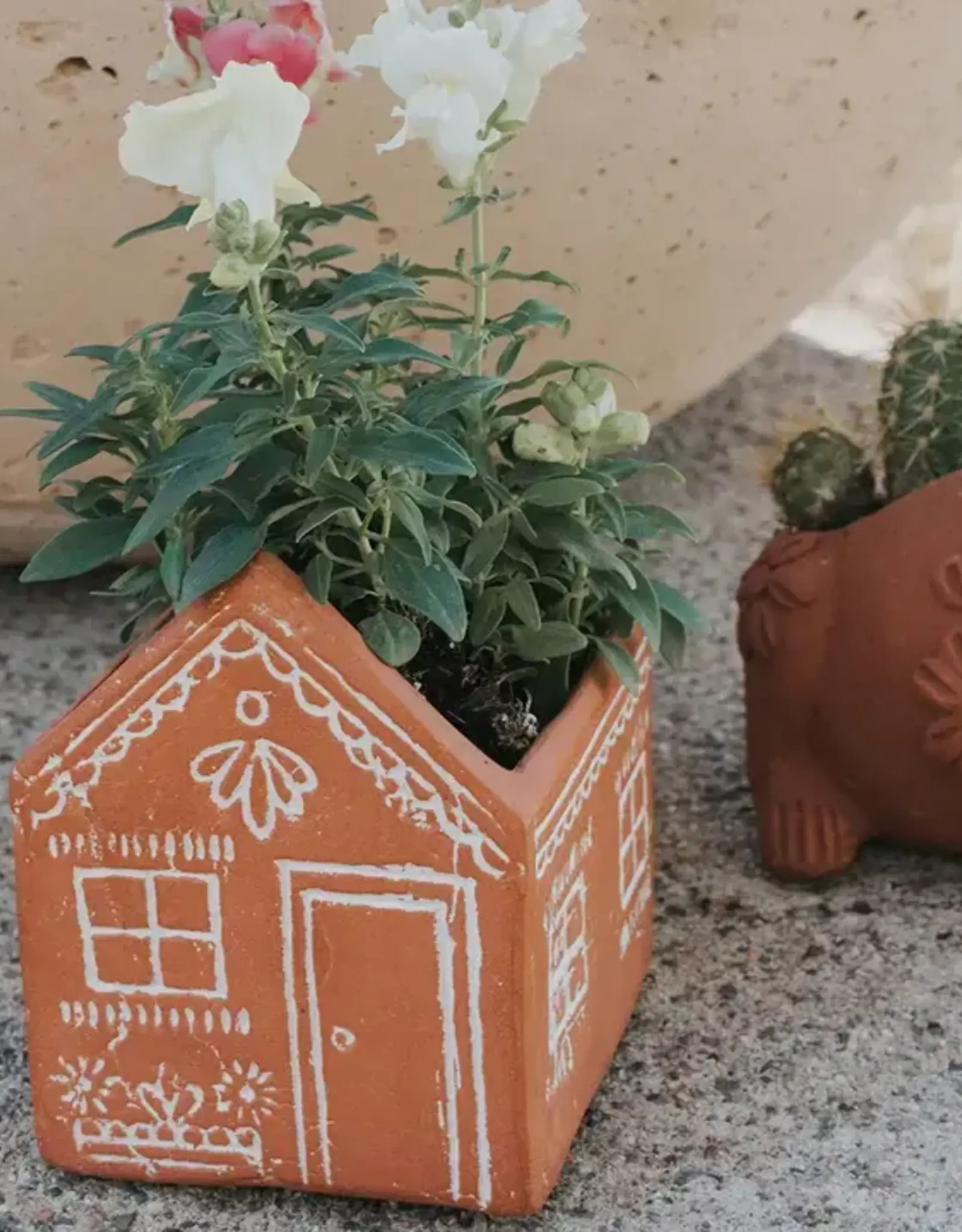 Matr Boomie Vasanta House Planter with Drainage - Terracotta