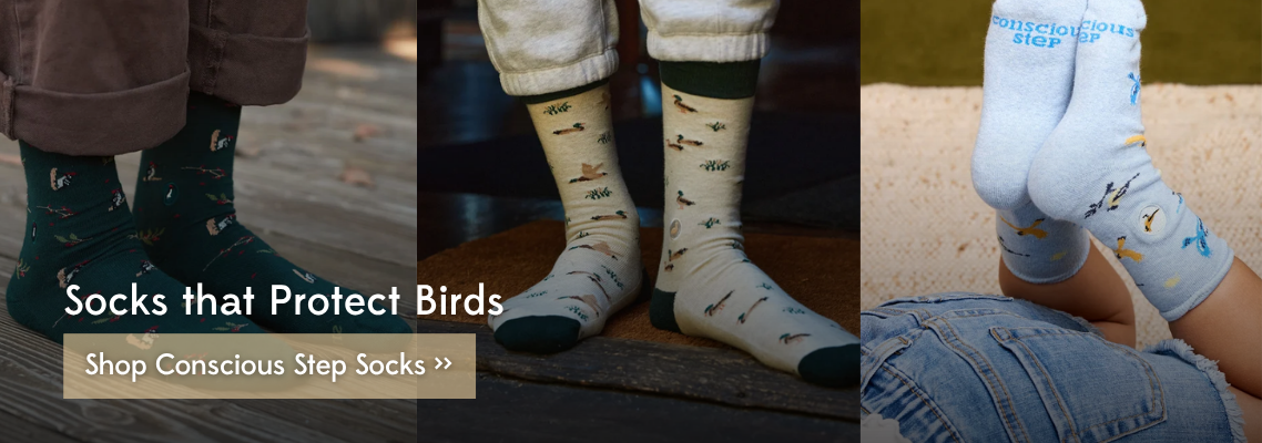 Socks that protect birds