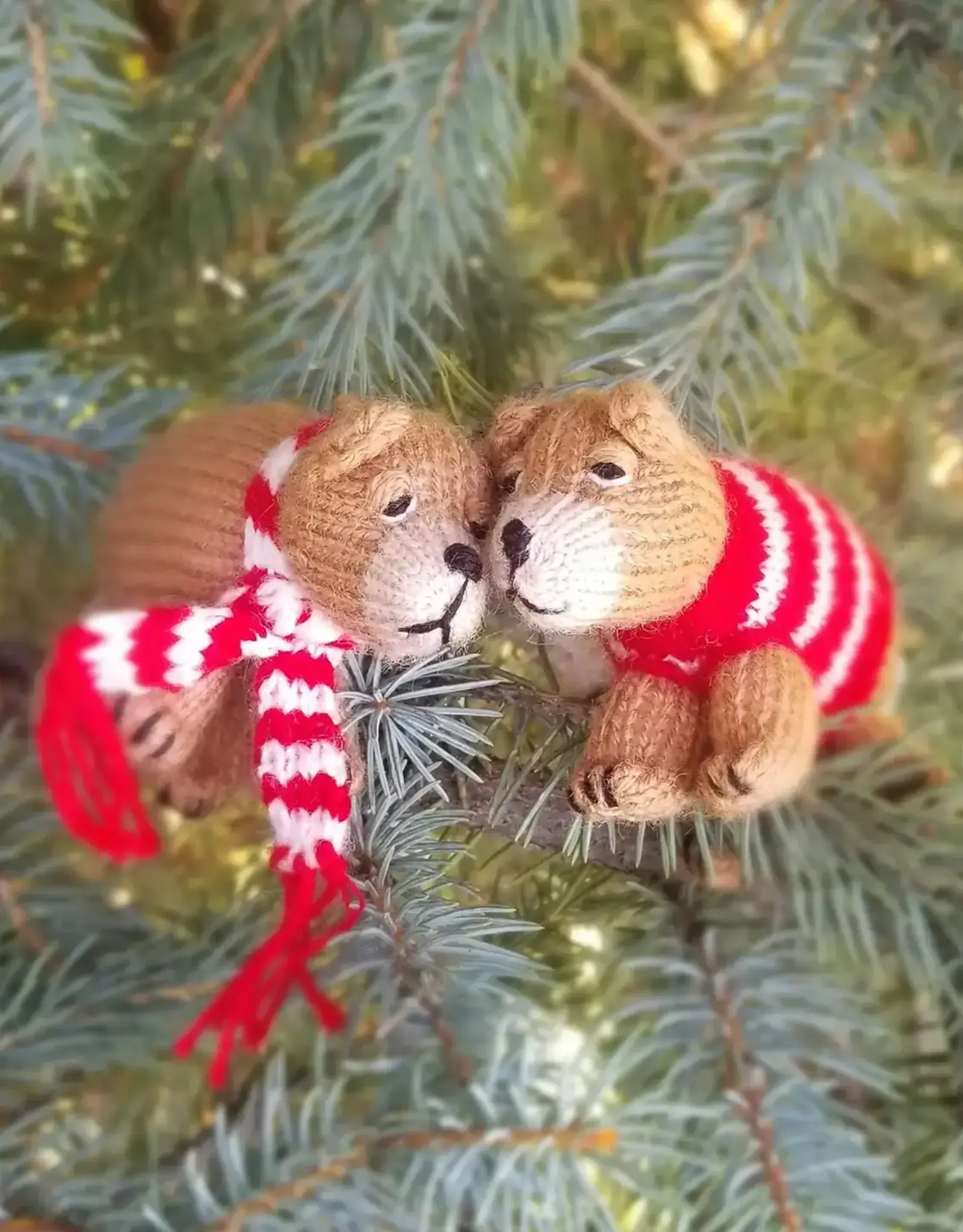 Melange Collection Sleepy Hibernating Bear Ornament - Assorted