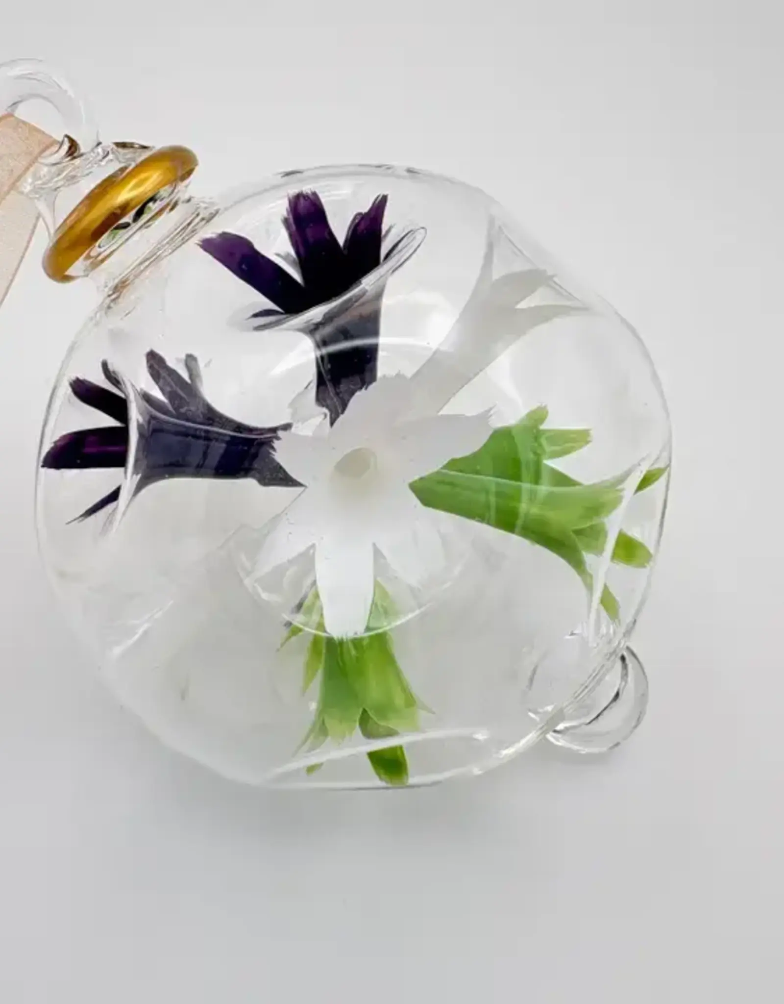 Dandarah Blown Glass Ornament - Van Gogh Irises