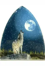 Pampeana Coyote Night Sky Nightlight