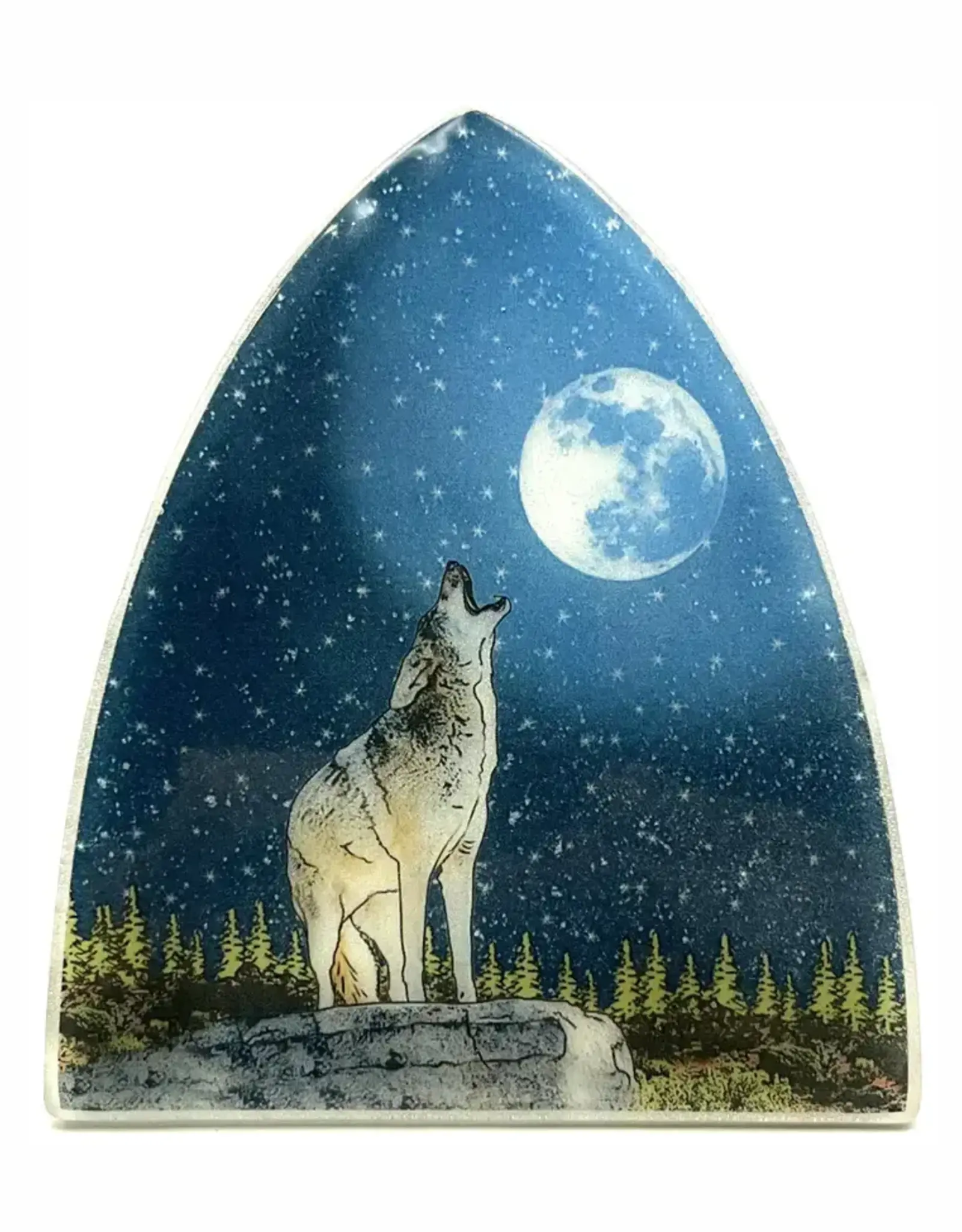 Pampeana Coyote Night Sky Nightlight