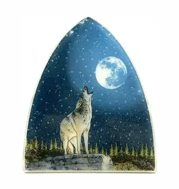 Pampeana Coyote Night Sky Nightlight