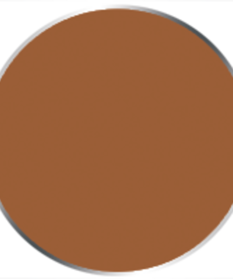 Privateer Press - PIP Privateer Press: Formula P3 - Idrian Flesh