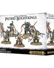 Games Workshop - GAW Warhammer Age of Sigmar - Maggotkin of Nurgle - Putrid Blightkings