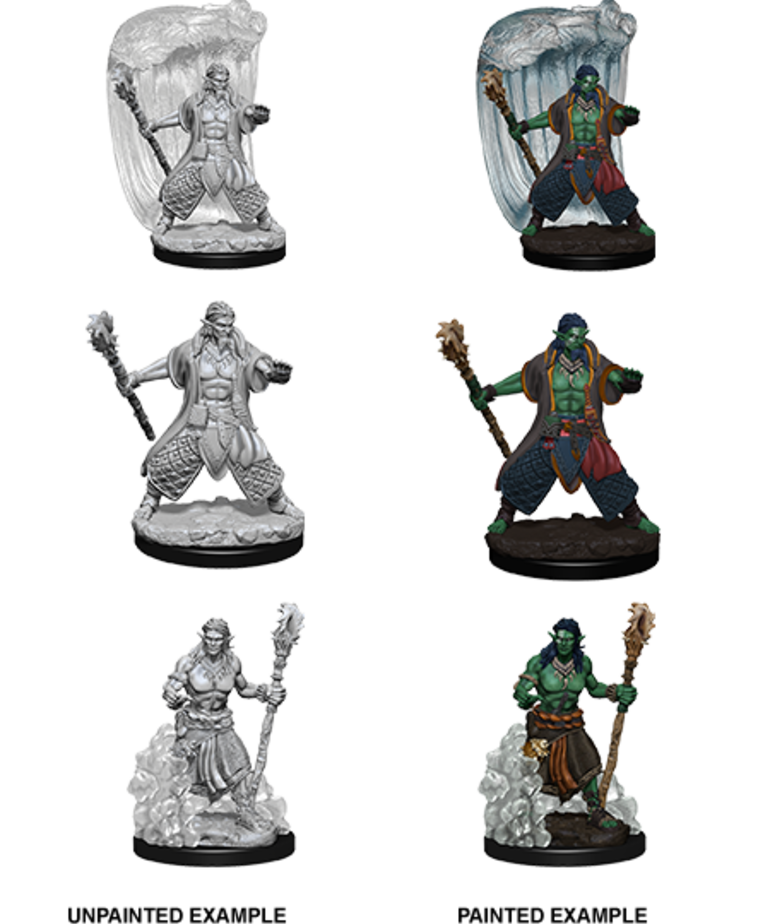 WizKids - WZK D&D: Nolzur's Marvelous Minatures - Water Genasi Druid