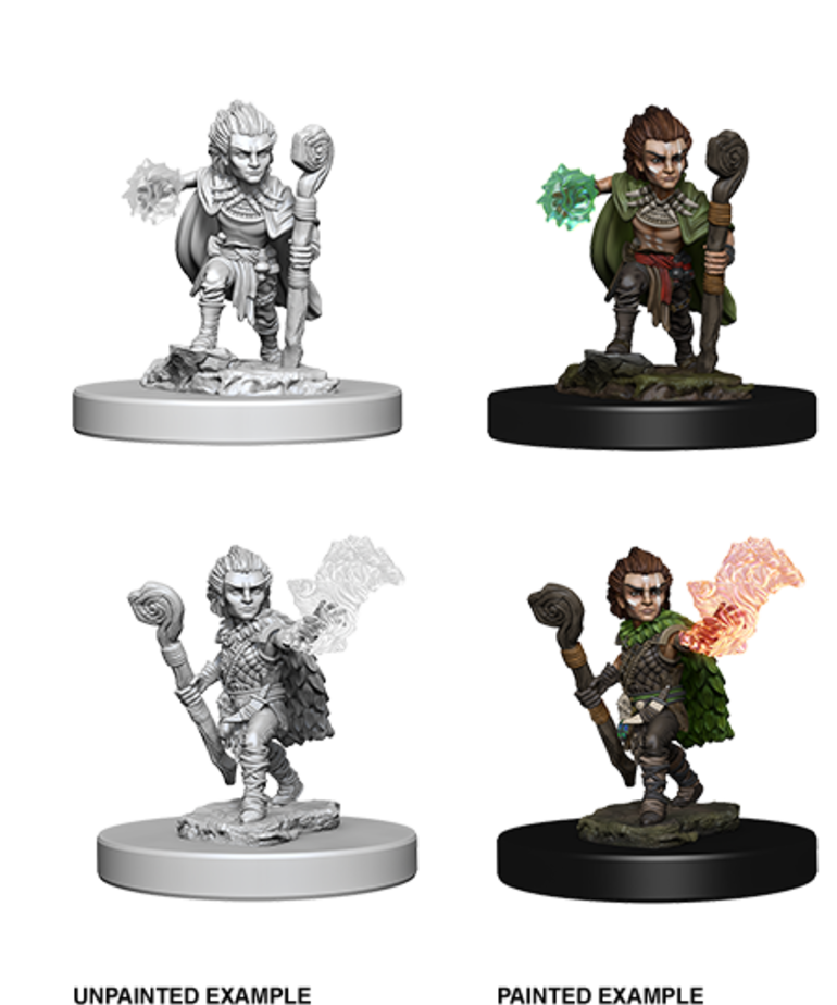 WizKids - WZK Pathfinder Battles: Deep Cuts - Gnome Male Druid