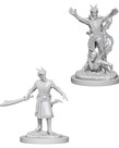 WizKids - WZK D&D: Nolzur's Marvelous Minatures - Male Tiefling Warlock