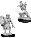 WizKids - WZK D&D: Nolzur's Marvelous Minatures - Male Human Druid