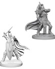 WizKids - WZK Pathfinder Battles: Deep Cuts- Female Knights / Gray Maidens