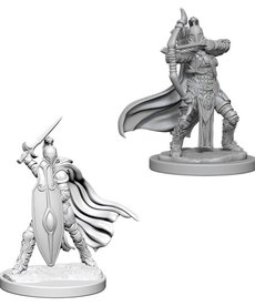 WizKids - WZK Pathfinder Battles: Deep Cuts- Female Knights / Gray Maidens