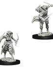 WizKids - WZK D&D - Nolzur's Marvelous Miniatures: Tiefling Female Rogue