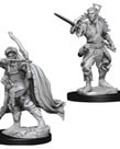 WizKids - WZK D&D - Nolzur's Marvelous Miniatures: Male Elf Rogue