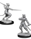 WizKids - WZK D&D - Nolzur's Marvelous Miniatures: Male Tabaxi Rogue