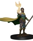 WizKids - WZK D&D: Icons of the Realms - Female Elf Druid