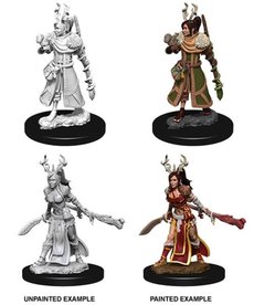 WizKids - WZK D&D: Nolzur's Marvelous Miniatures - Human Druid (Female)