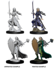 WizKids - WZK D&D: Nolzur's Marvelous Miniatures - Elf Paladin (Female)