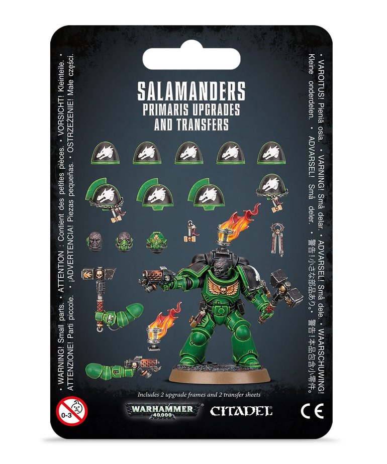 https://cdn.shoplightspeed.com/shops/639914/files/25202867/770x924x1/games-workshop-gaw-warhammer-40k-salamanders-prima.jpg