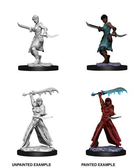 Dnd Giff Rogue Miniature Cosmo Rogues DND Dungeons and 