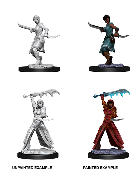 Dnd Giff Rogue Miniature Cosmo Rogues DND Dungeons and 