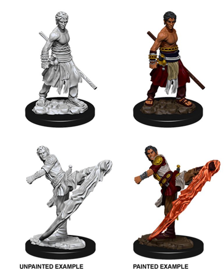 WizKids - WZK D&D: Nolzur's Marvelous Miniatures - Half-Elf Monk (Male)