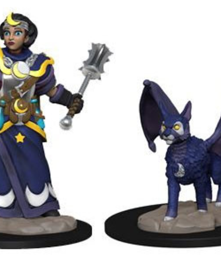 WizKids - WZK Wizkids: Wardlings - Girl Cleric & Winged Cat