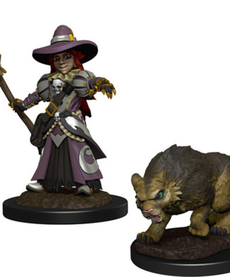 WizKids - WZK Wizkids: Wardlings - Girl Witch & Witch's Cat