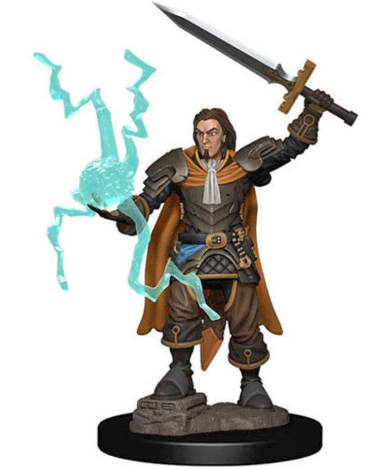 WizKids - WZK Pathfinder Battles: Premium Painted Figures - Human Cleric Male