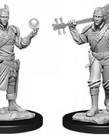 WizKids - WZK D&D: Nolzur's Marvelous Unpainted Miniatures - Male Half-Elf Bard